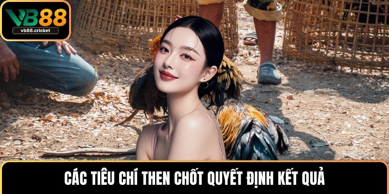 Luật Đá Gà Chi Tiết Và Hướng Dẫn Cách Chơi Chuẩn Xác 3 Các tiêu chí then chốt quyết định kết quả
