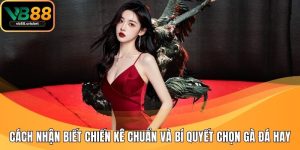 cách nhận biết chiến kê