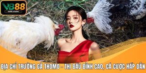 địa chỉ trường gà Thomo