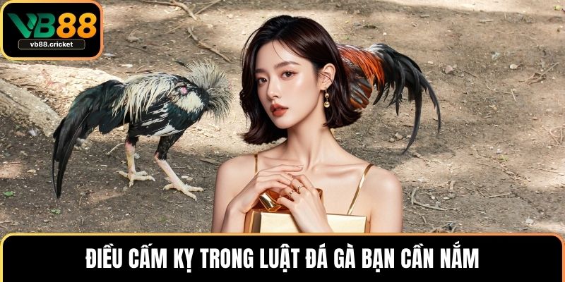 Luật Đá Gà Chi Tiết Và Hướng Dẫn Cách Chơi Chuẩn Xác 4 Điều cấm kỵ trong luật đá gà bạn cần nắm