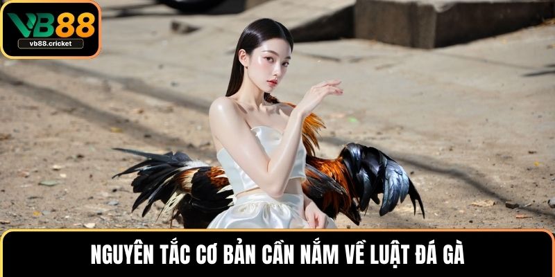 Luật Đá Gà Chi Tiết Và Hướng Dẫn Cách Chơi Chuẩn Xác 2 Nguyên tắc cơ bản cần nắm về luật đá gà