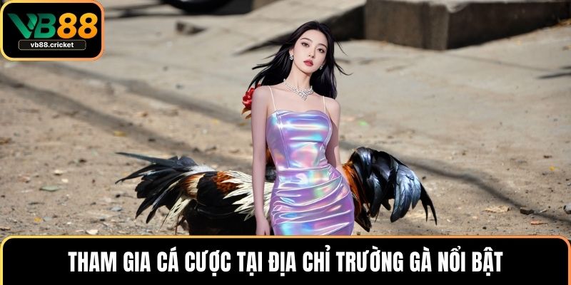 Tham gia cá cược tại địa chỉ trường gà nổi bật