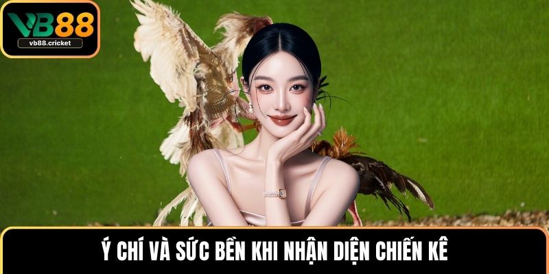 Cách Nhận Biết Chiến Kê Chuẩn Và Bí Quyết Chọn Gà Đá Hay 4 Ý chí và sức bền khi nhận diện chiến kê